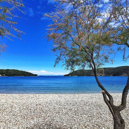 San Giorgio 4*